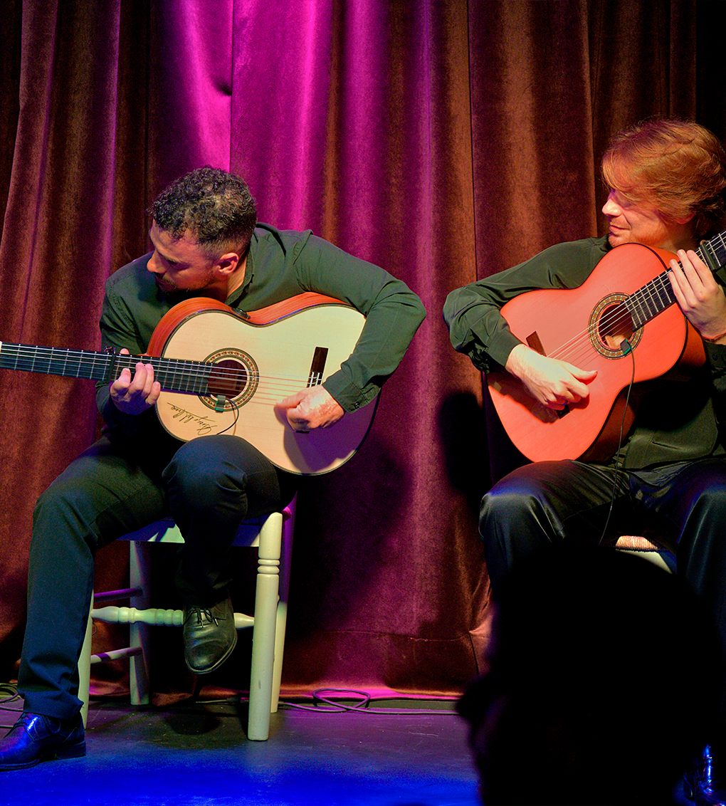 show flamenco alicante
