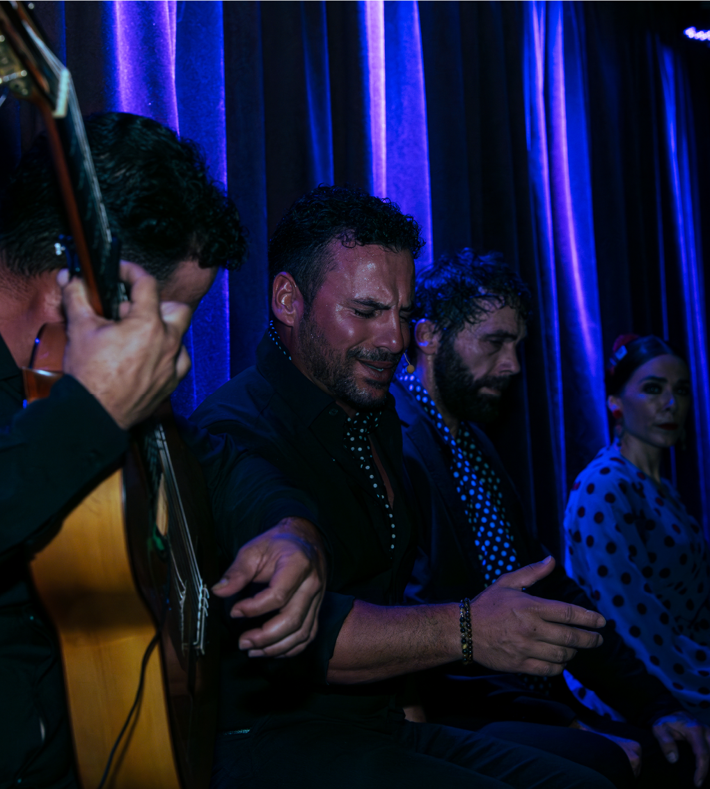 cena flamenco alicante