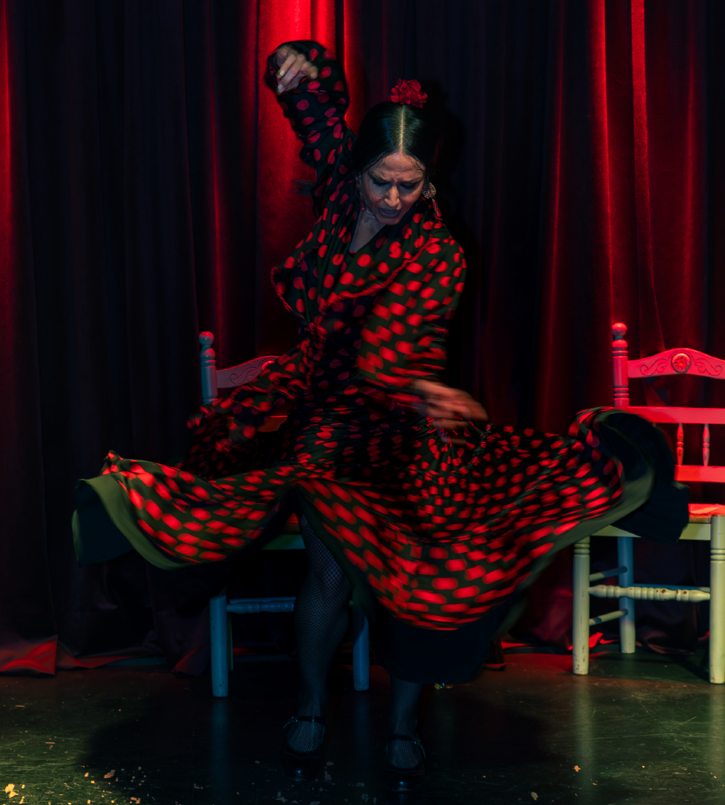 flamenco premium show