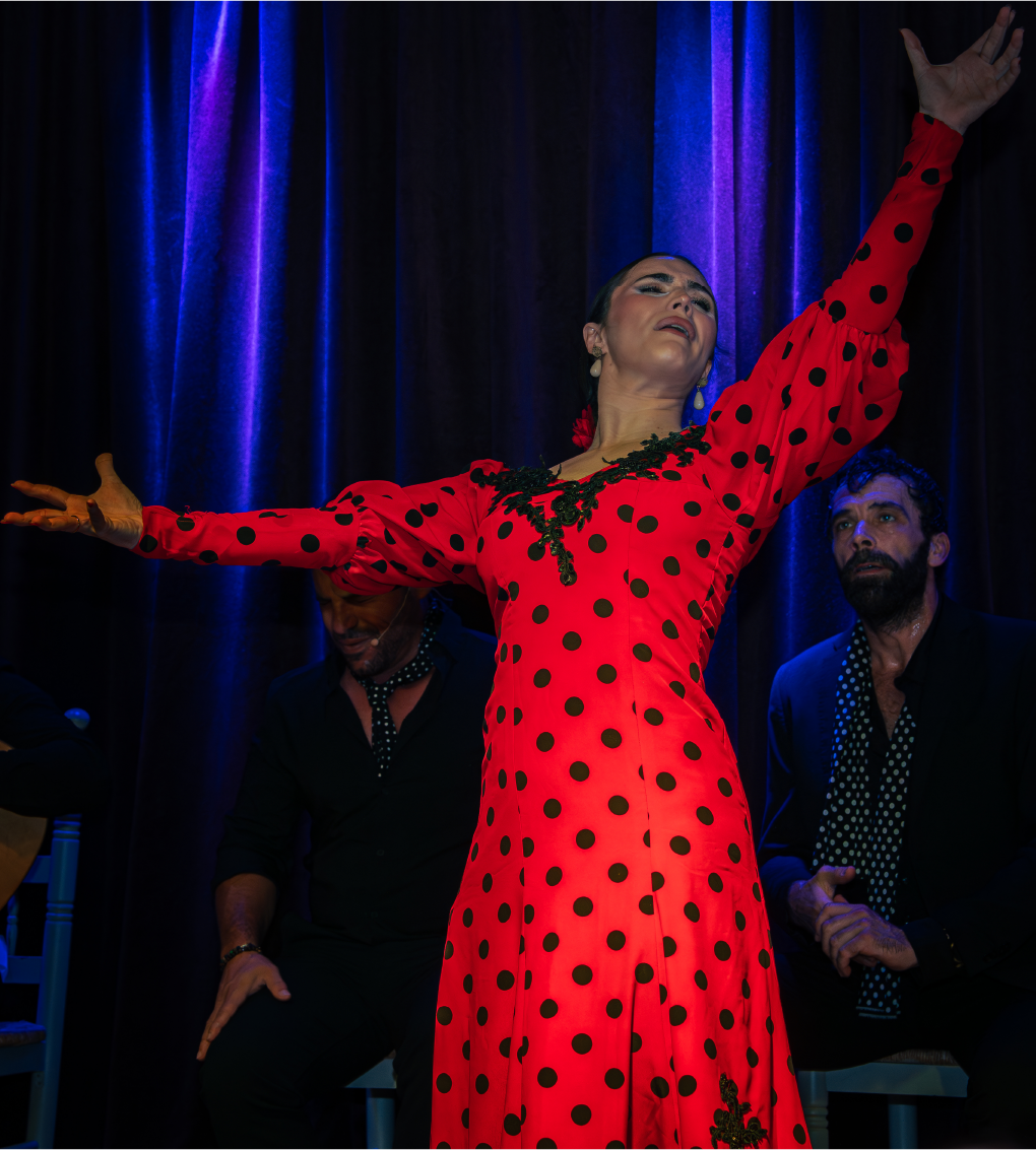 flamenco show alicante dinner