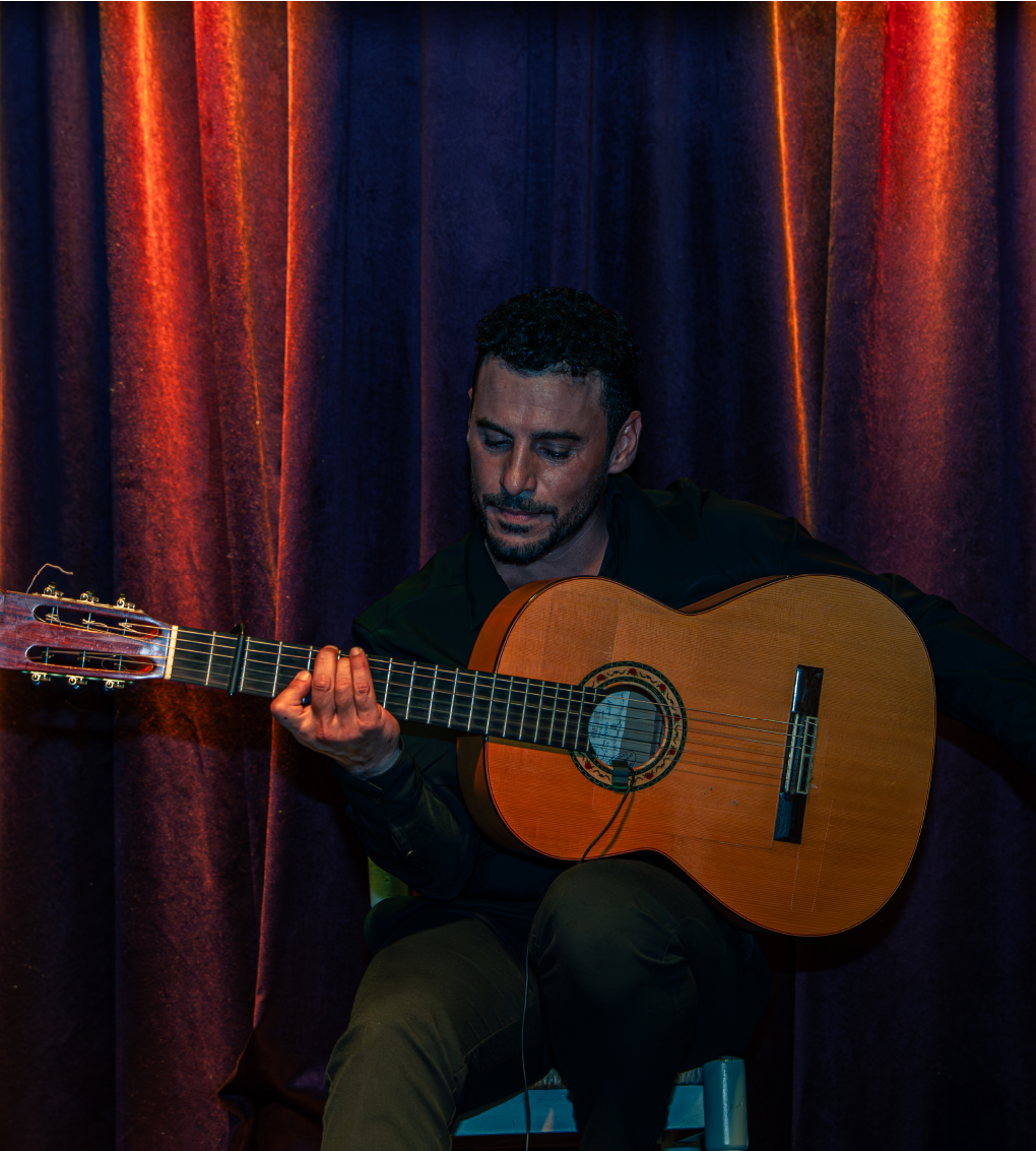 show flamenco alicante