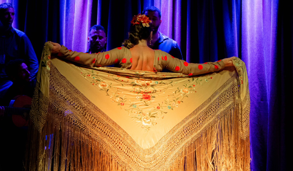 Cena romántica Alicante_ idea con flamenco