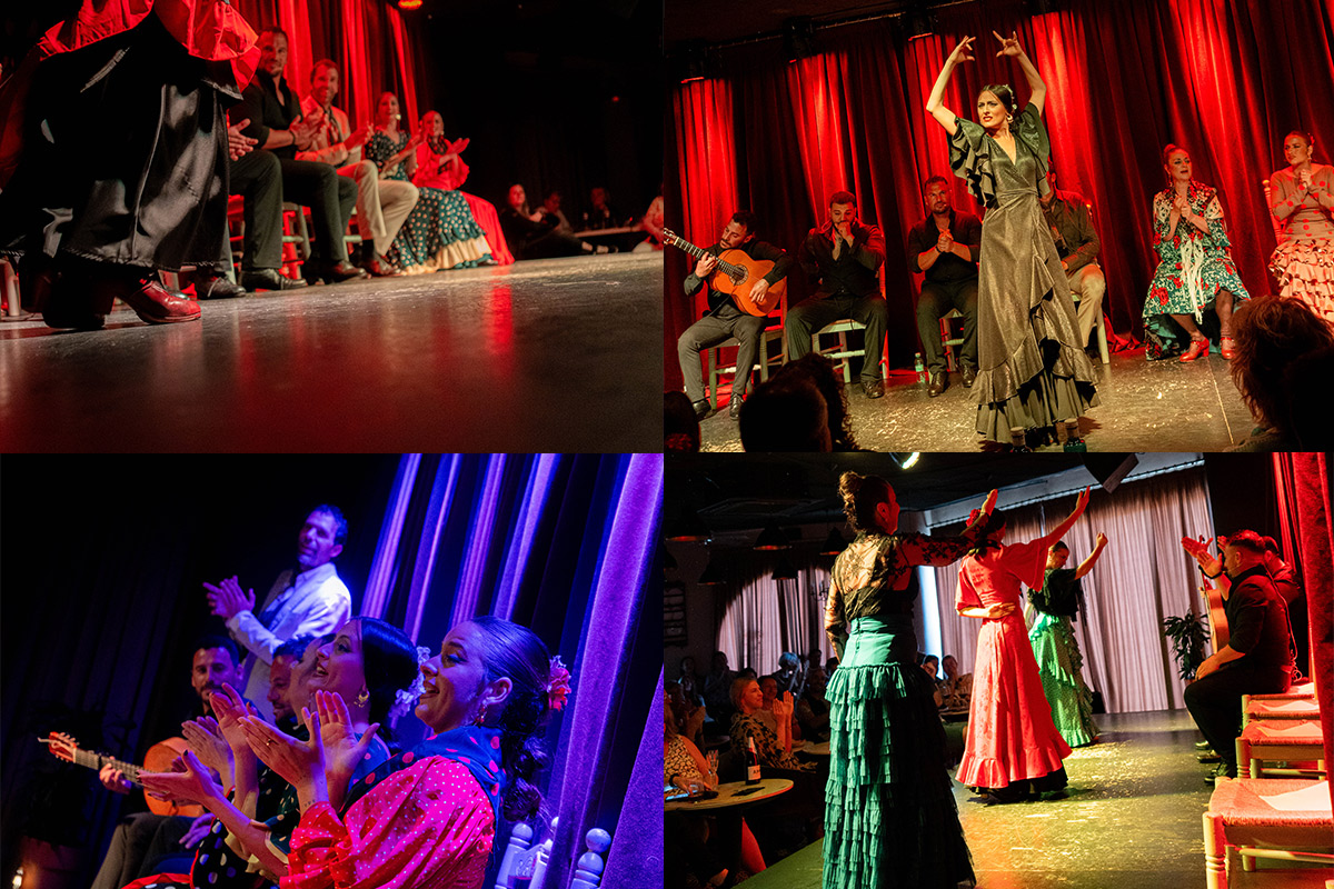 Flamenco Classes in Alicante: Which Option Is Right for You?